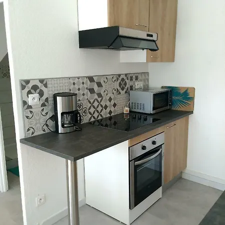 Petit Loft T2 Bis Mezzanine Avec Jardin Et Piscine